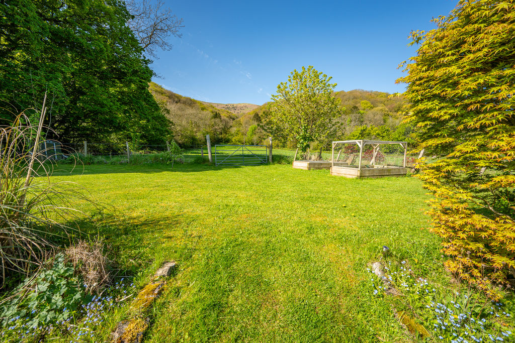 Garden- click for photo gallery
